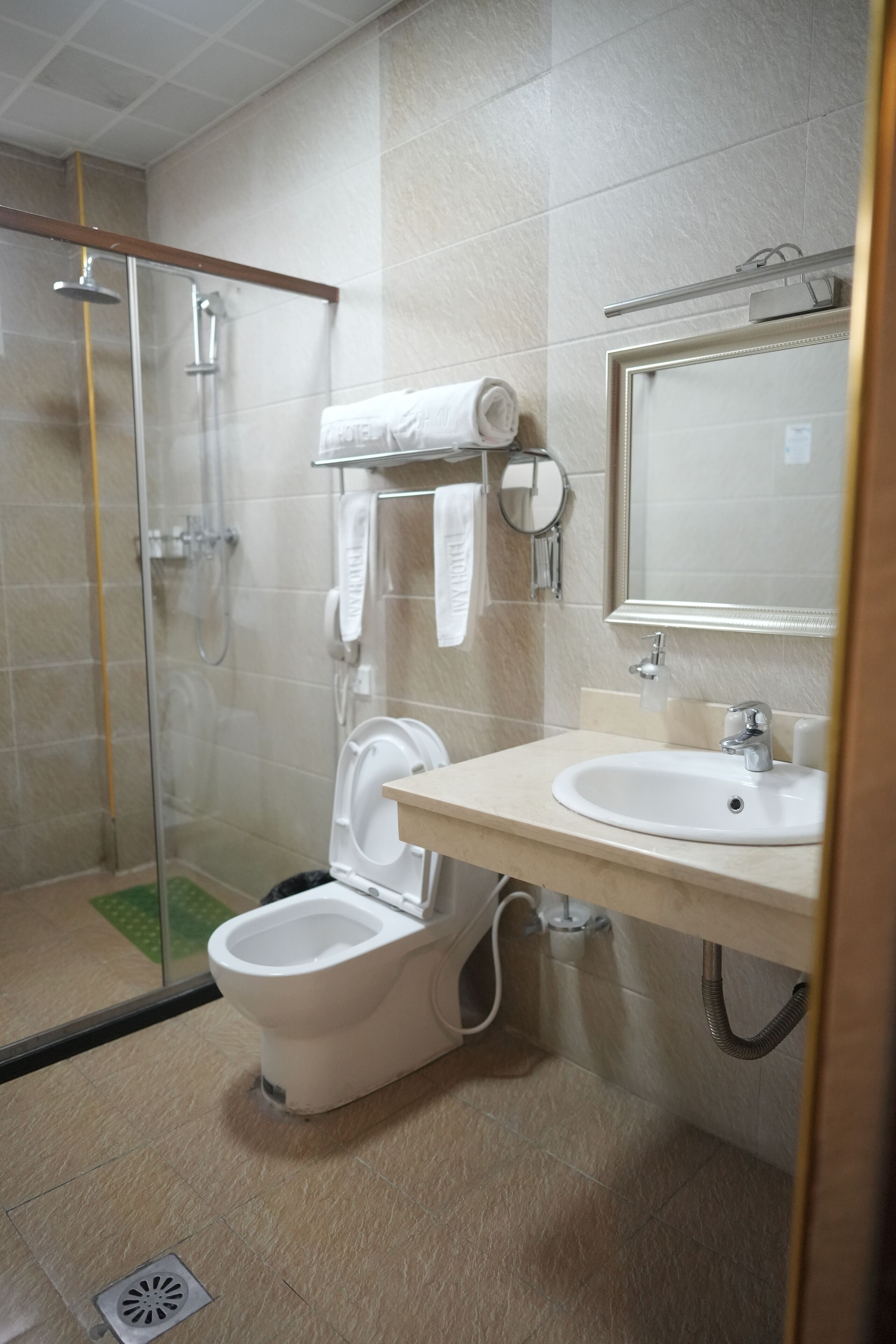 A modern bathroom with a glass shower enclosure, a toilet, a sink, and a mirror.