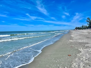 Unclassified image, 3 of 92, button - Beachfront-Pool-Fort Myers Beach(our Pool is open) (Fort Myers Beach)