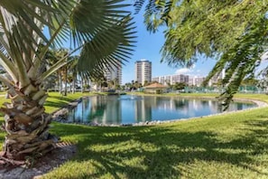 A serene park with a pond, palm trees, and a backdrop of high-rise buildings. - Beachfront-Pool-Fort Myers Beach(our Pool is open) (Fort Myers Beach)