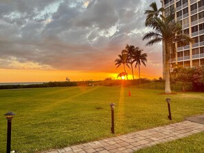 A grassy field with a sunset, palm trees, and a building with balconies. - Beachfront-Pool-Fort Myers Beach(our Pool is open) (Fort Myers Beach)