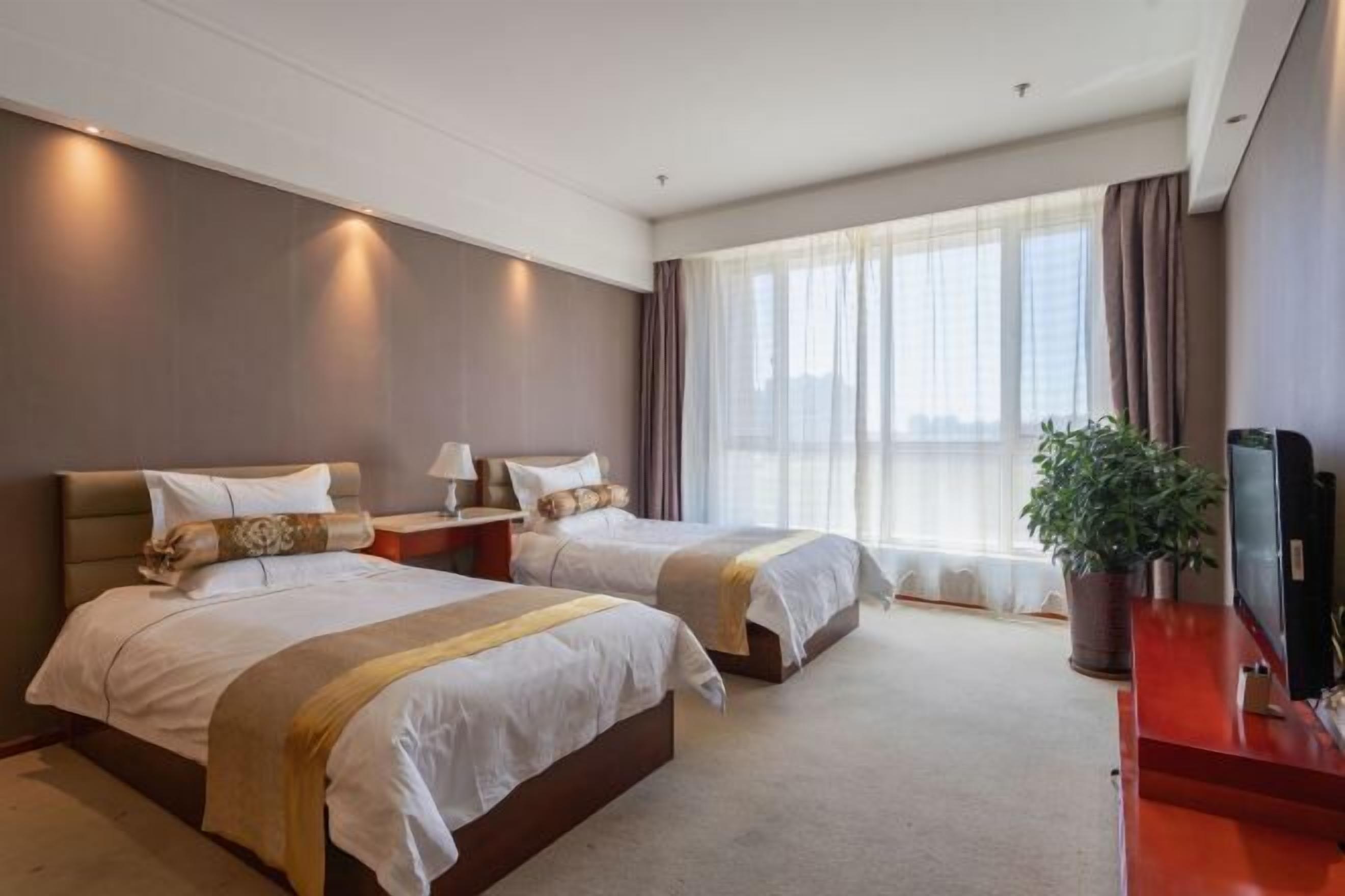 A hotel room with two beds, a TV, a plant, and a large window with curtains.