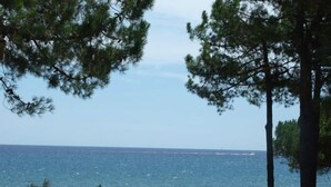 A coastal view with a clear sky, a stone balustrade, and dense greenery. - Un Balcon sur la Méditerranée 1 (Taglio-Isolaccio)
