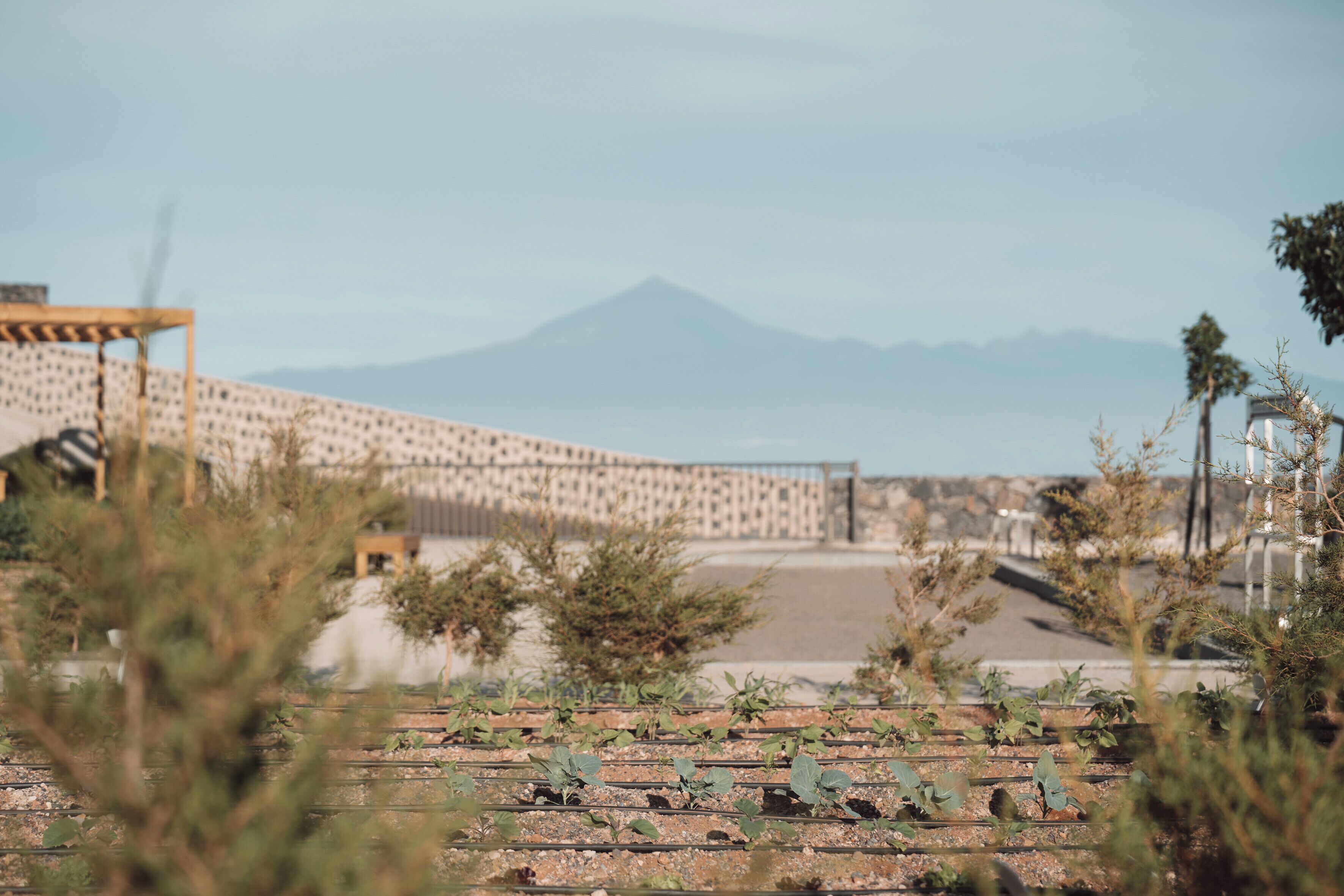 Foto - BANCAL HOTEL and SPA