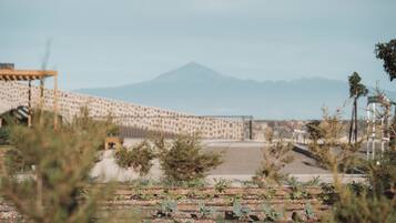 A railway track with a mountainous backdrop, a wooden structure, and sparse vegetation.
