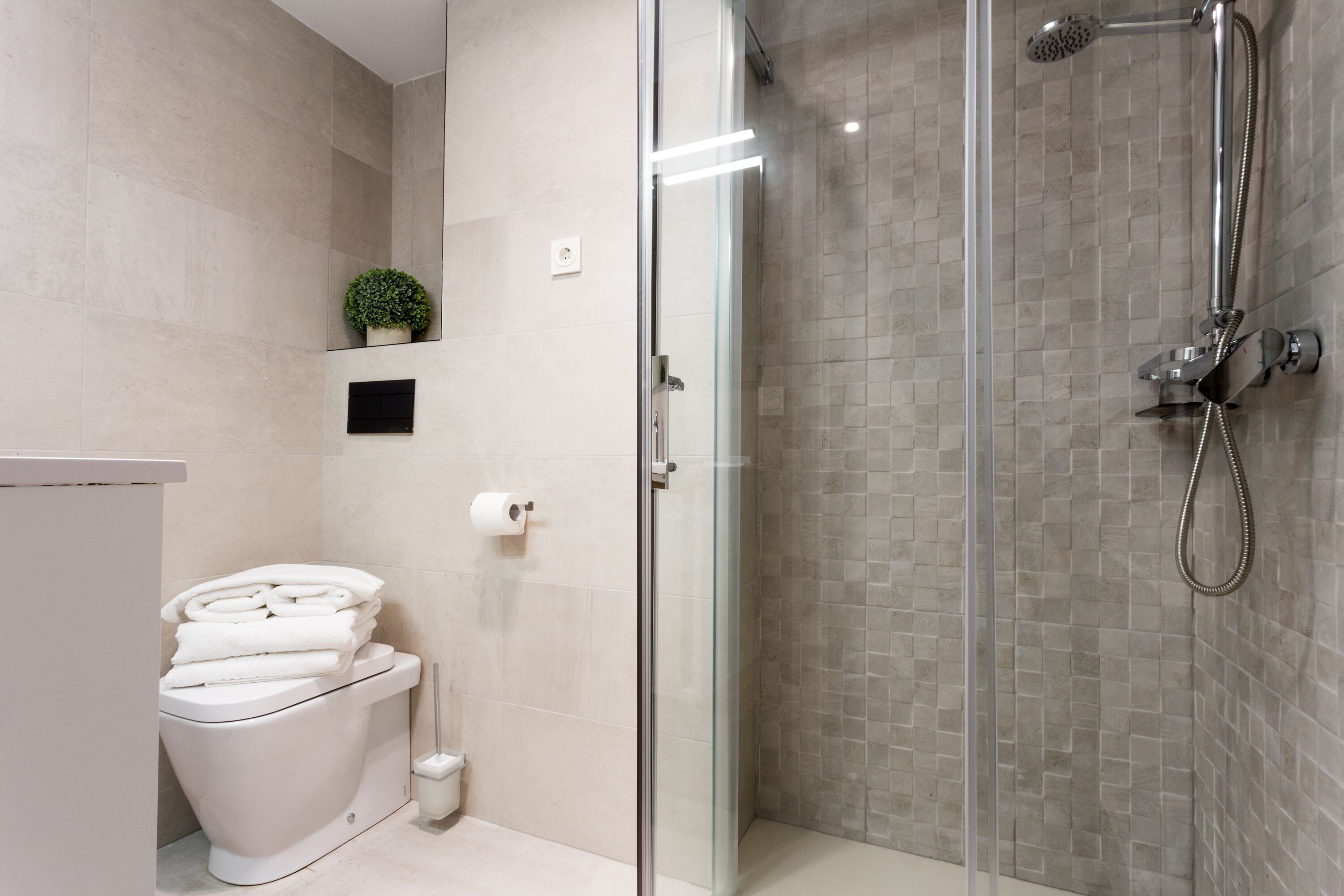 A modern bathroom with a glass-enclosed shower, a toilet, and a small potted plant on the wall.