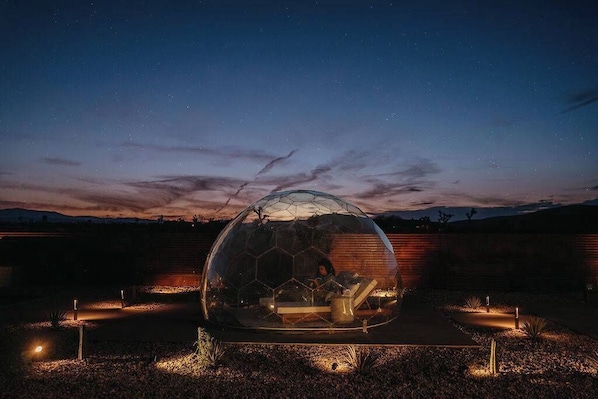 A geodesic dome structure with a person inside, surrounded by a landscaped area with pathways and small plants.