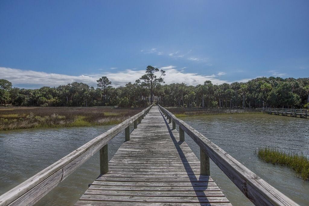 A wooden boardwalk leading into a marshy area with trees in the background.