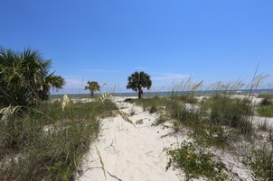 Una playa cerca