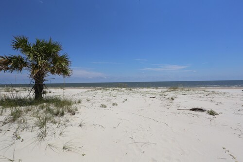 Camp Palms @ Indian Pass