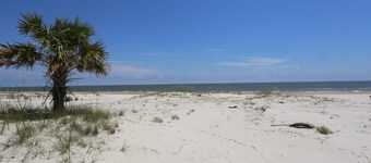 Camp Palms @ Indian Pass