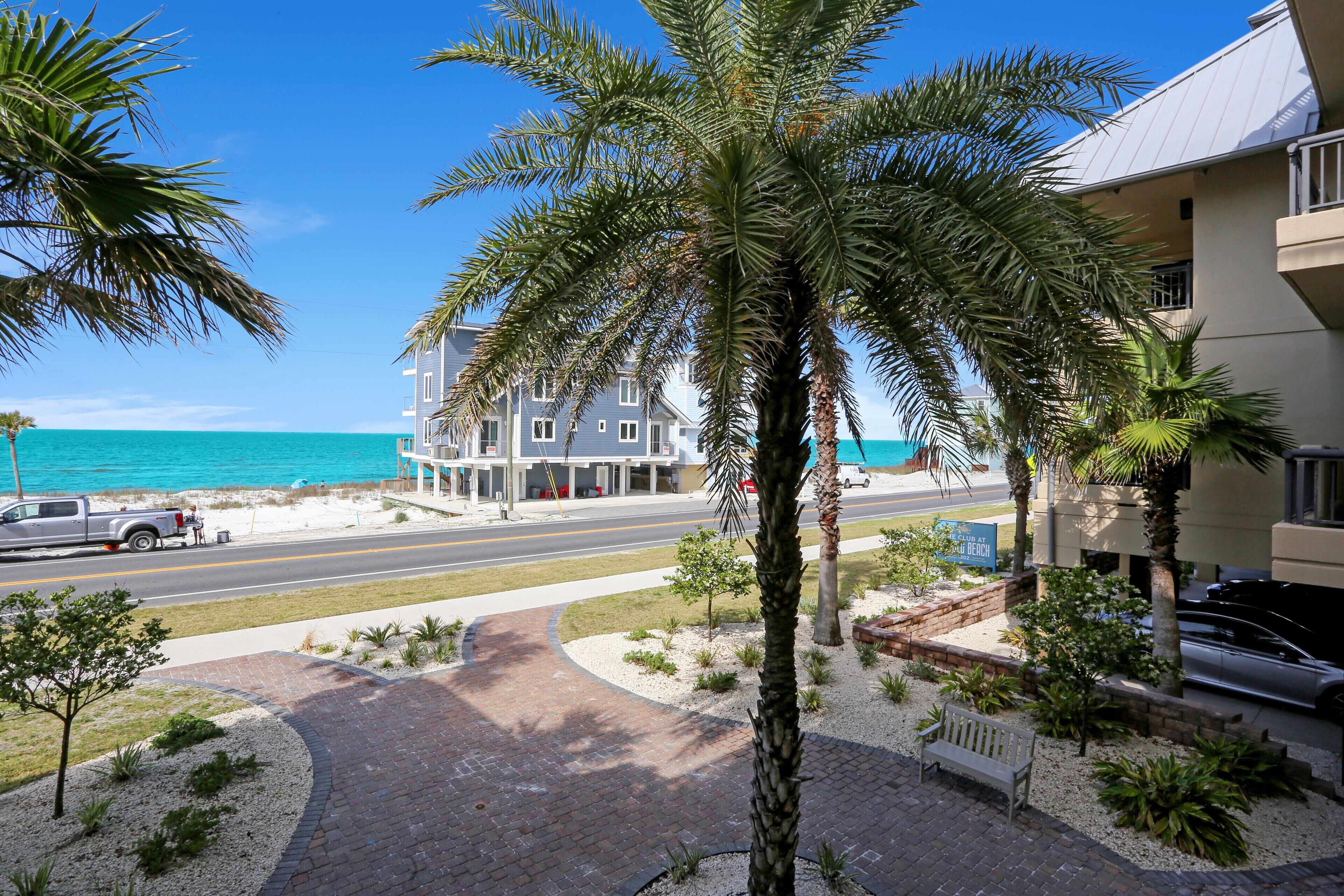 A beachfront hotel with palm trees, a paved walkway, and a view of the ocean.