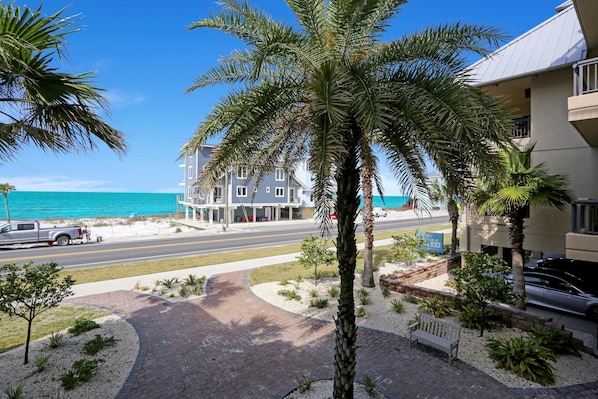 A beachfront hotel with palm trees, a paved walkway, and a view of the ocean.