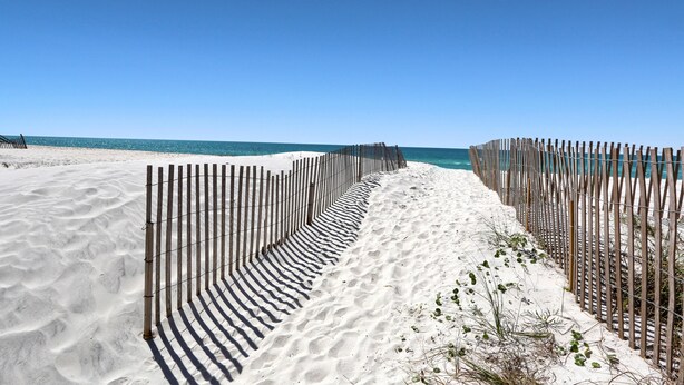 A sandy beach with a wooden fence leading to the water. - Salt Cured (Port St. Joe)