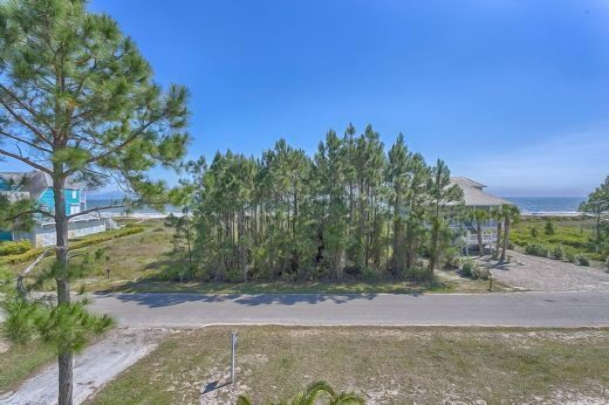 A coastal property with a paved driveway, dense pine trees, and a view of the ocean.