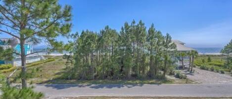 A coastal property with a paved driveway, dense pine trees, and a view of the ocean.