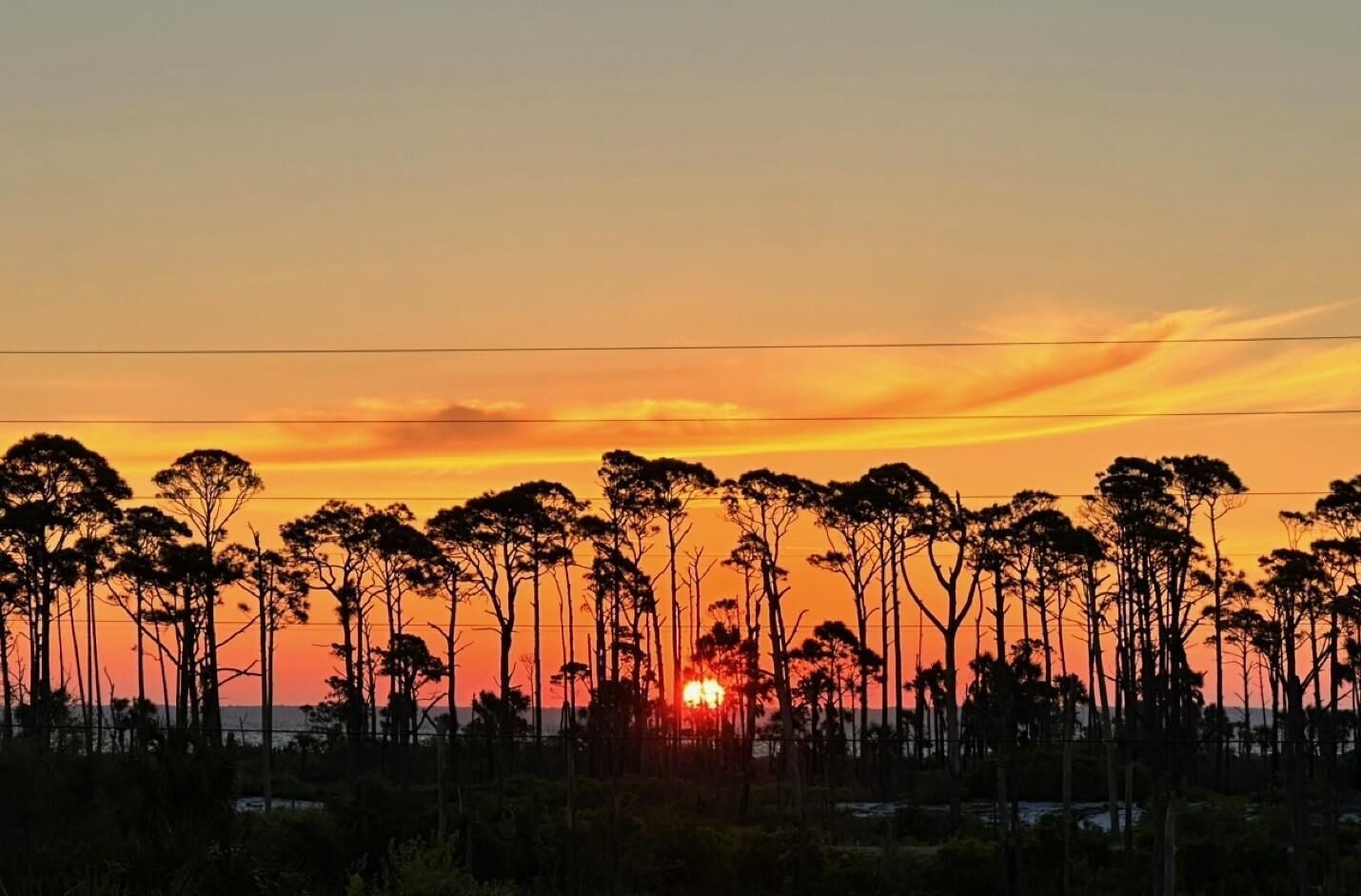 Un atardecer con siluetas de árboles y cielo despejado.