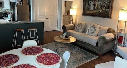 Clean Modern Deco Apt 1 BR 1 Bath Near Everything