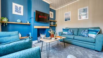 Televisio, takka, DVD-soitin, kirjoja