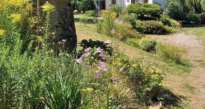 Detached house in LE PARC DU MORVAN in Chalaux for 4 people.