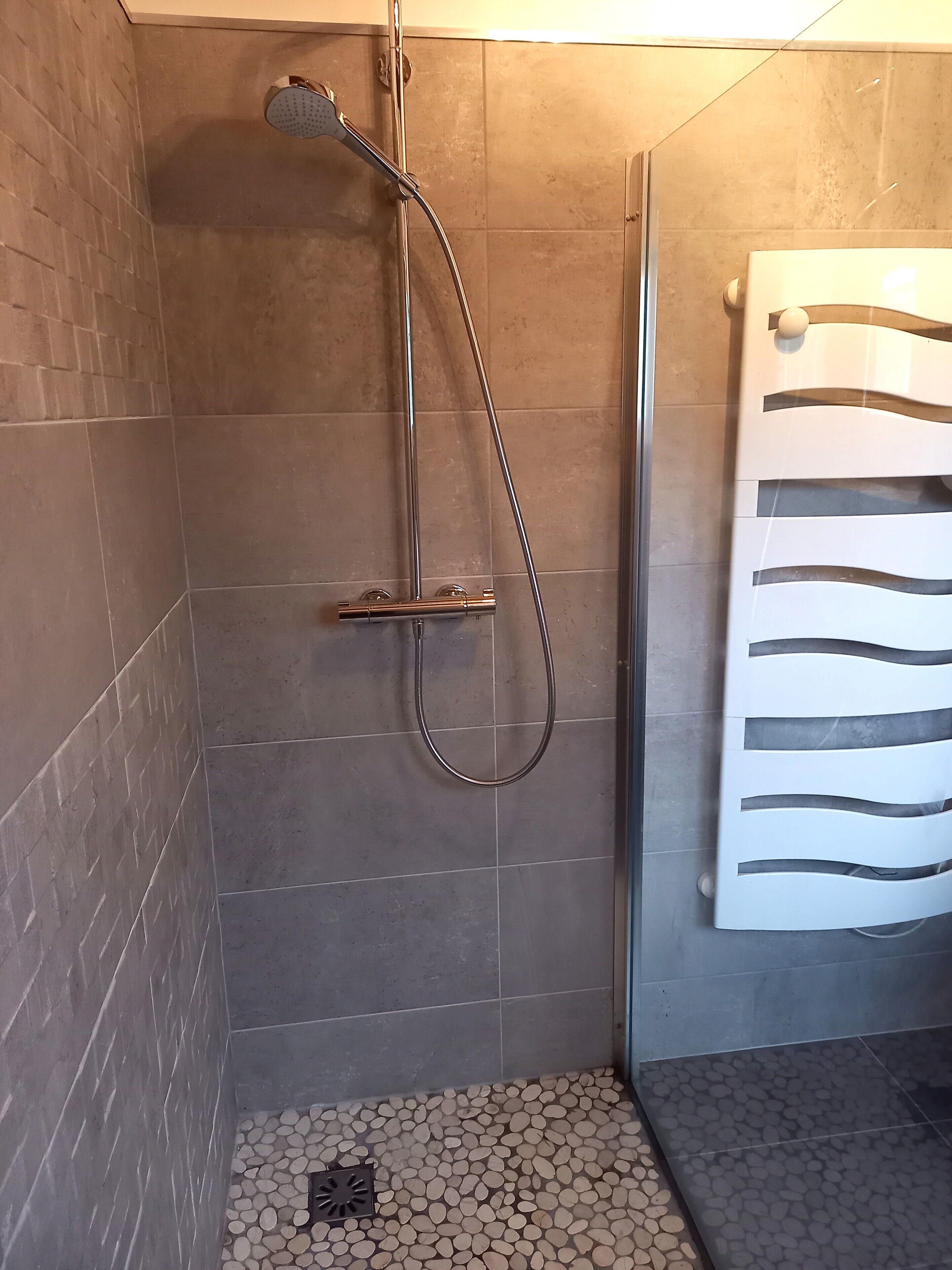 Shower, hair dryer, toilet paper