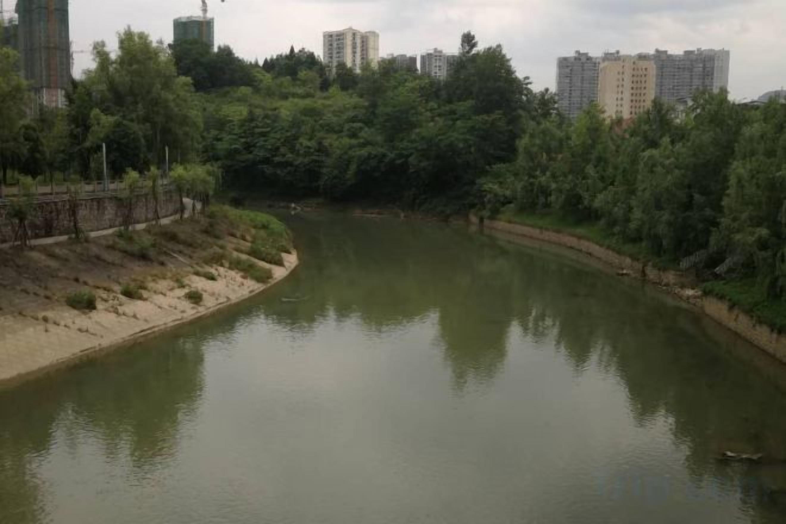 A river with a curved path, surrounded by greenery and buildings in the background.