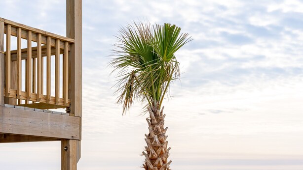 A wooden beach structure with a palm tree in the foreground and the ocean in the background. - Tuck Away - Stunning Ocean Front Designer Home (Atlantic Beach)