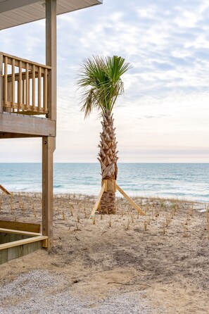 A wooden beach structure with a palm tree in the foreground and the ocean in the background. - Tuck Away - Stunning Ocean Front Designer Home (Atlantic Beach)