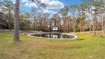 A circular pond with a small building in the center, surrounded by trees and grass.