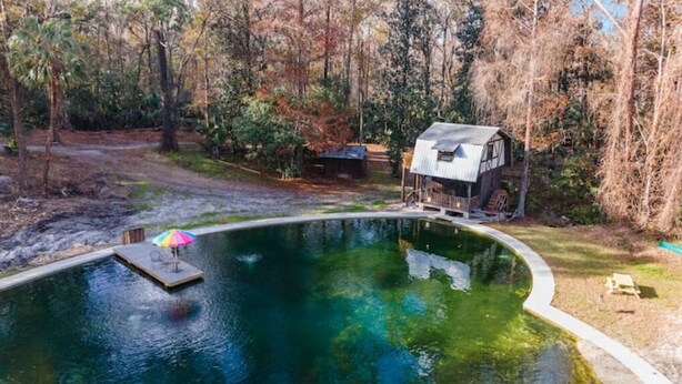 Une piscine avec un quai et un parasol, entourée d’arbres et d’un chalet rustique.
