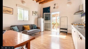 A spacious living area with a wooden ceiling, a sofa with cushions, a dining table, a kitchen with a sink and stove, and a sliding glass door leading to an outdoor area.