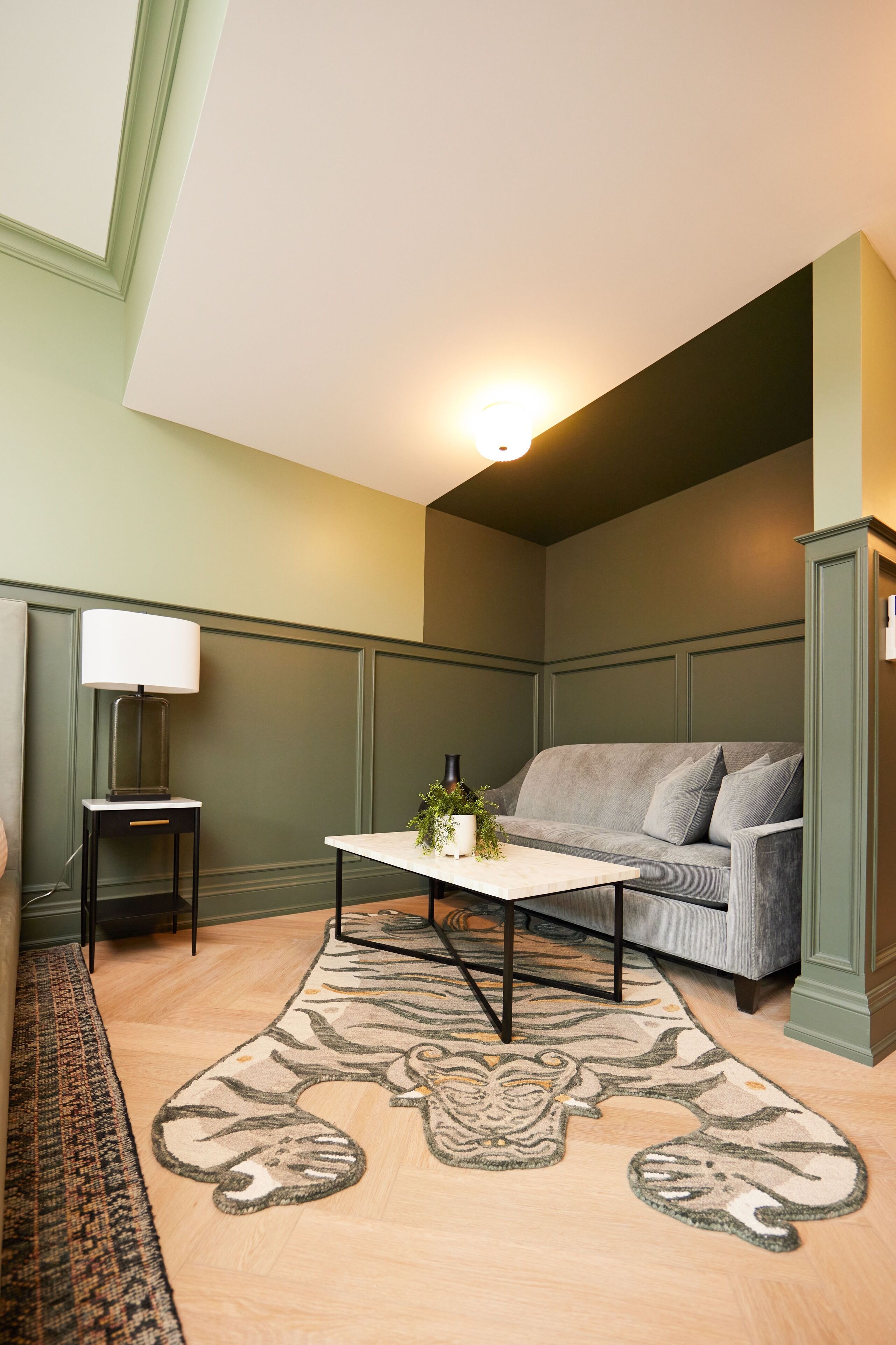 Une pièce avec un canapé gris, une petite table sur laquelle est posée une plante, une lampe et un tapis à motifs.