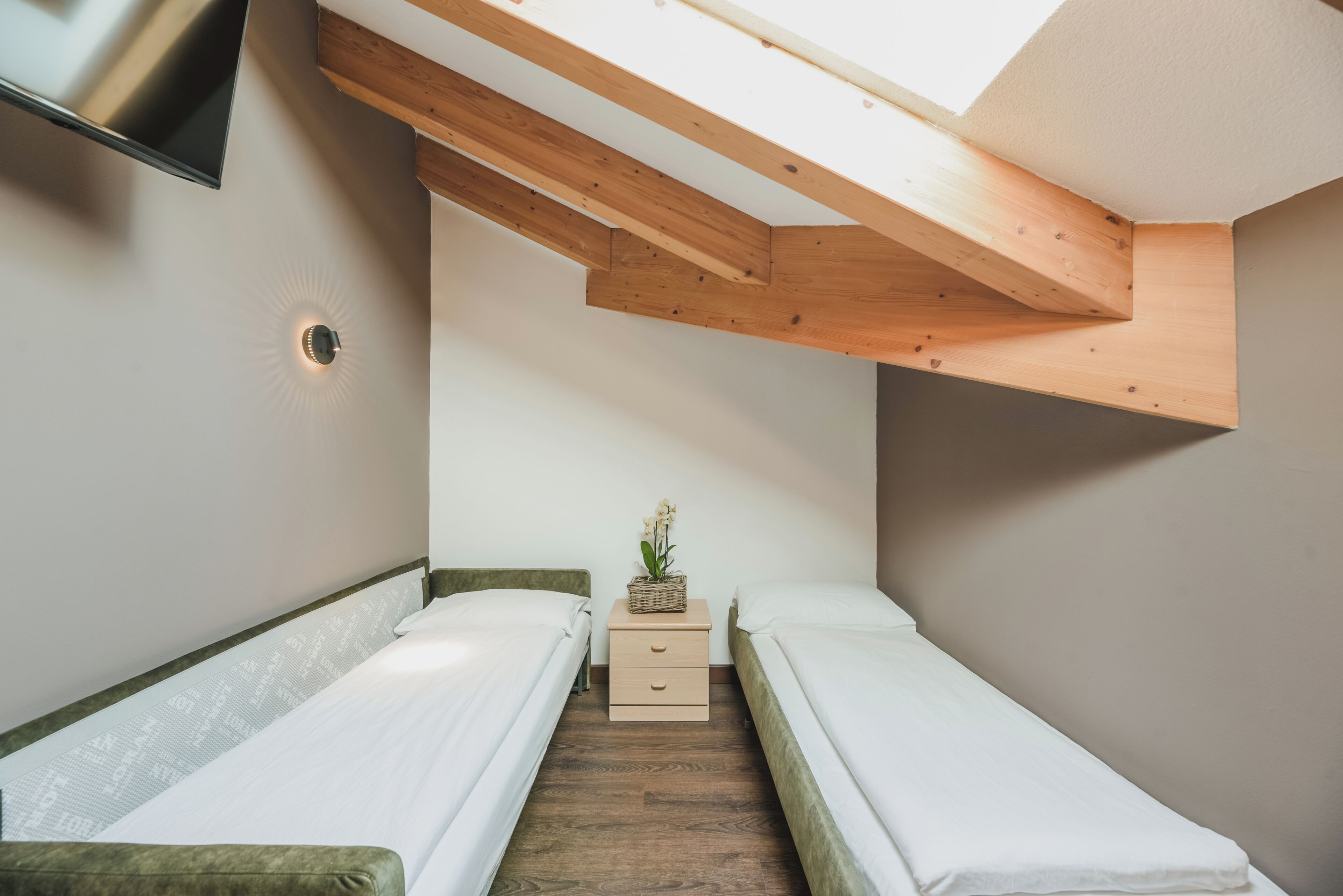 A bedroom with two beds, a small bedside table with a plant, a ceiling fan, and a TV mounted on the wall.