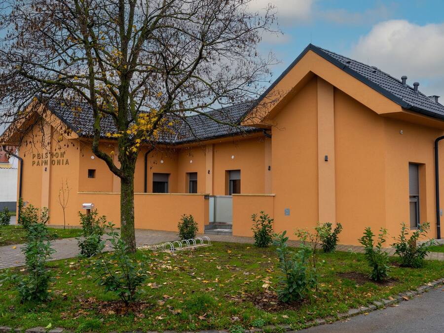 Un bâtiment doté d’un toit plat et d’une façade jaune, entouré d’un petit jardin où poussent différentes plantes et un arbre.