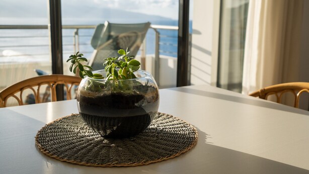 Een tafel met een geweven placemat en een glazen schaal met een plant, met uitzicht op een balkon en de zee.