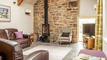 智能电视、壁炉