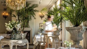A dining area with a chandelier, potted plants, and a table set for a meal. - The Notary (Bruges)