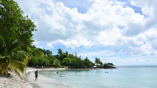 A beach with clear water, palm trees, and a person walking. - Maison Bel bonjou (Le Marin)