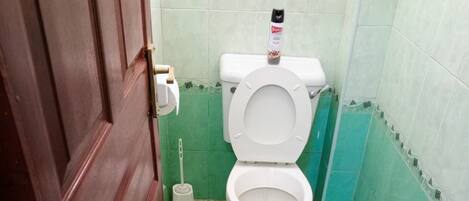 A bathroom with a toilet, a toilet brush, and a toilet paper holder.