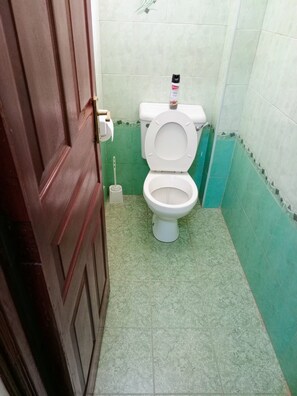 Un baño con inodoro, escobilla y portaescobillas.