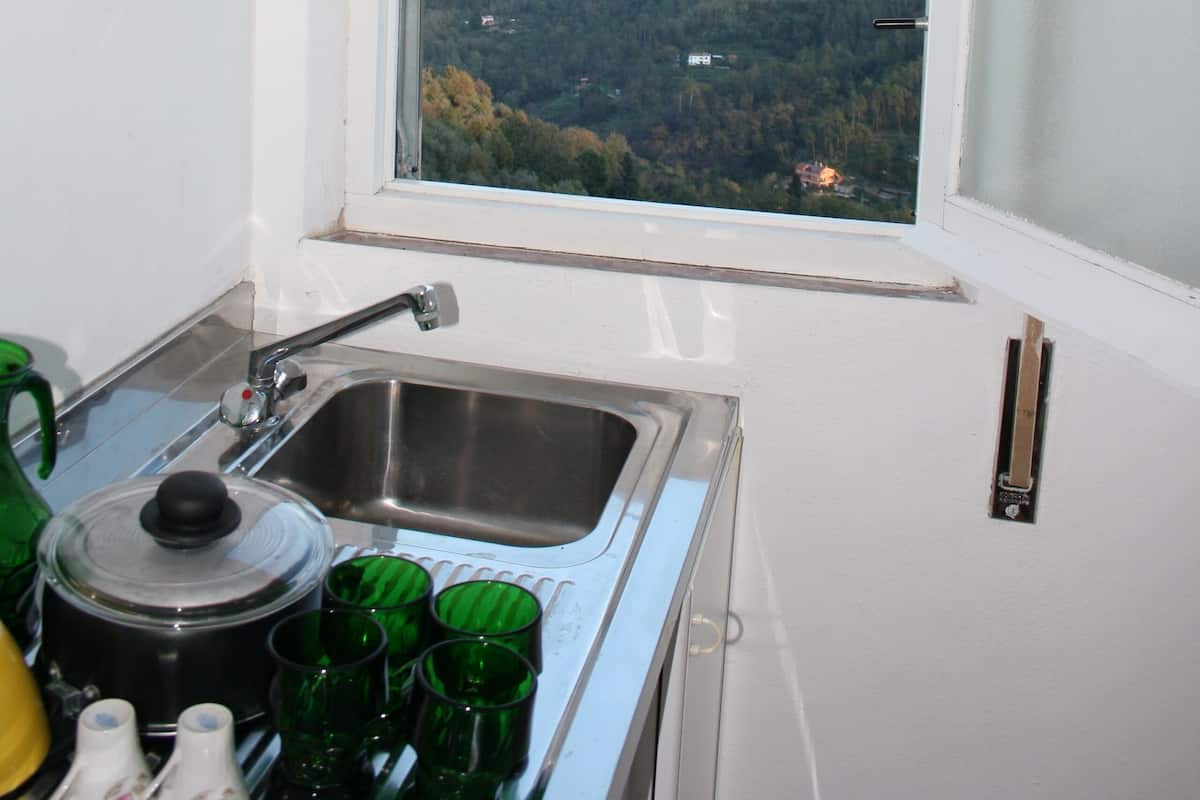 A kitchen with a window, a sink, and a view of a forested area.