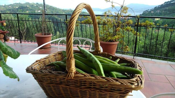 Un cesto di vimini con verdure verdi su un balcone che si affaccia su delle colline e un parapetto.