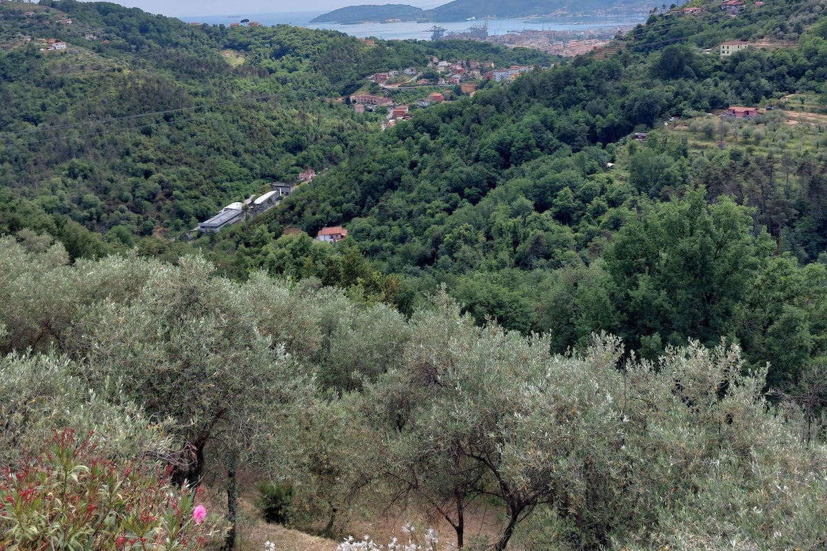 A scenic view of a mountainous area with dense greenery and scattered buildings.