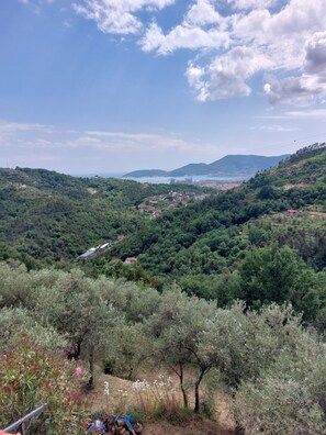 A scenic view of a mountainous area with dense greenery and scattered buildings. - Oliva Azzurra (Vezzano Ligure)