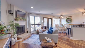 TV, fireplace, books