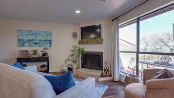 TV, fireplace, books