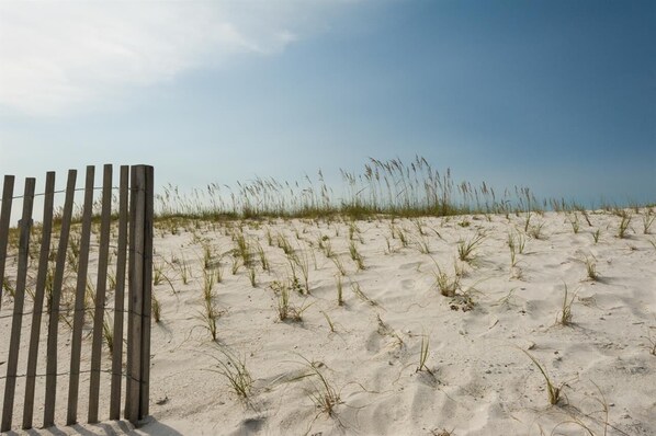 A sandy beach with a wooden fence and sparse vegetation.
