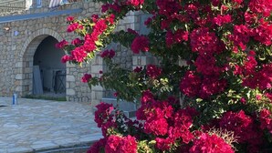 Un edificio in pietra con un balcone e un grande cespuglio di fiori rosa davanti.