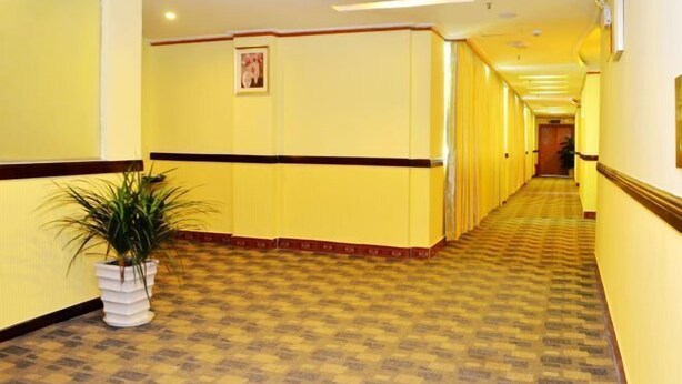 Un couloir d’hôtel aux murs jaunes, avec un tapis à motifs et une plante en pot.