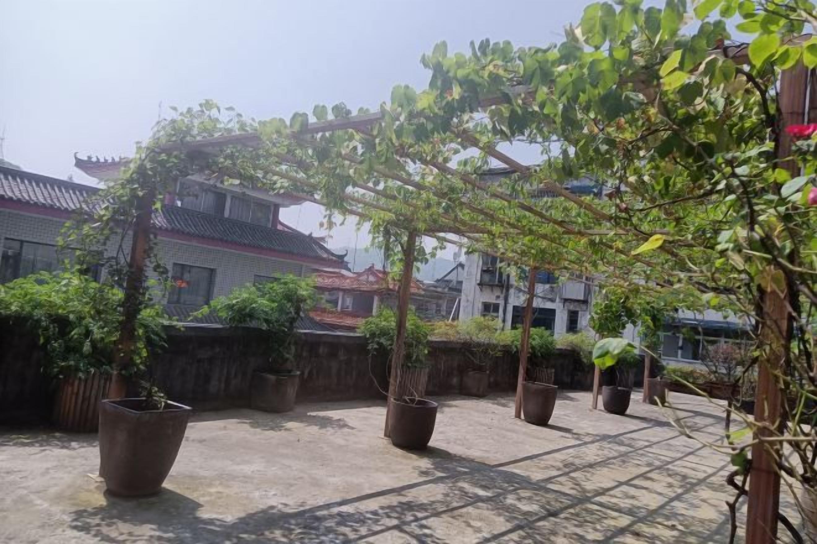 Een binnentuin met plantenpotten en een pergola.
