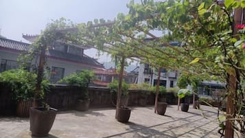 Een binnentuin met plantenpotten en een pergola.